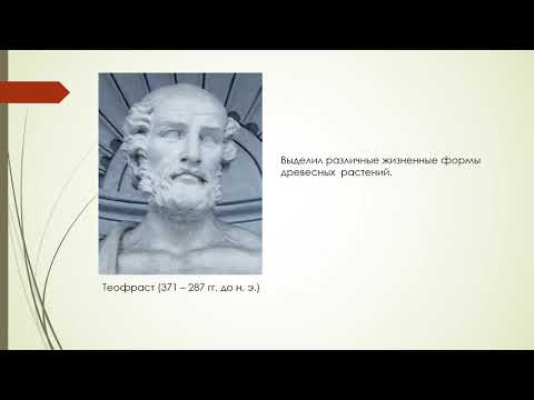 Видео: Дендрология лекция 1