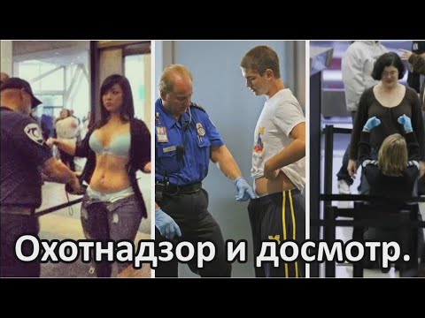 Видео: Правила охоты  Личный досмотр, досмотр транспортного средства