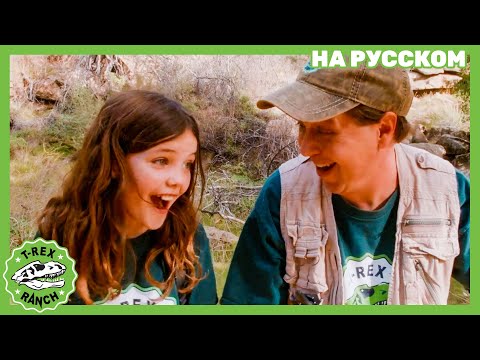 Видео: Динозавры переезжают в Калифорнию Часть 5 | Ти-рексы - Динозавры для детей