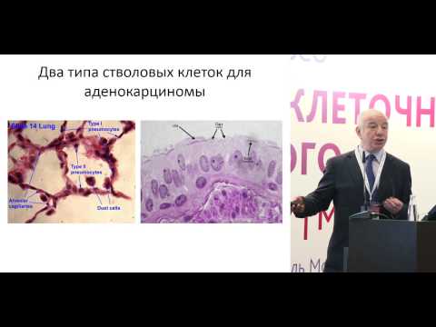 Видео: Морфологическая диагностика НМРЛ