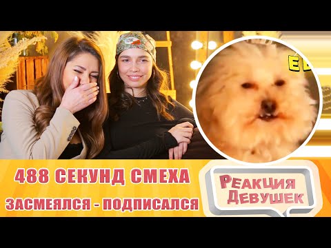 Видео: Реакция девушек. ЗАСМЕЯЛСЯ - ПОДПИСАЛСЯ!! ЛУЧШИЕ ПРИКОЛЫ I 488 СЕКУНД СМЕХА. Реакция.