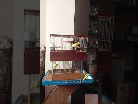 Видео: 7 ноября 2025 г.