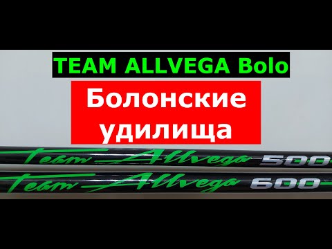 Видео: TEAM ALLVEGA Bolo болонское удилище. ОБЗОР болонских удилищ Альвега ТИМ АЛЬВЕГА боло