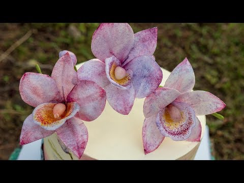 Видео: 🌸Вафельная орхидея🌸 - Я - ТОРТодел!