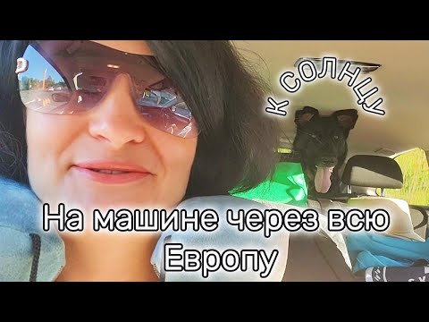 Видео: Из Финляндии в Италию через Катовице и Венгрию | Паром в Таллинн, 2000 км дороги с собакой!