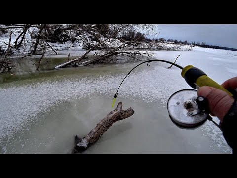 Видео: СУДАК, ЩУКА И ОКУНЬ В КОРЯГАХ!!! Рыбалка на Оби!! Просили скучную рыбалку на судака вот она!