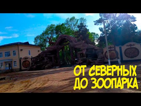 Видео: От Северных до Зоопарка