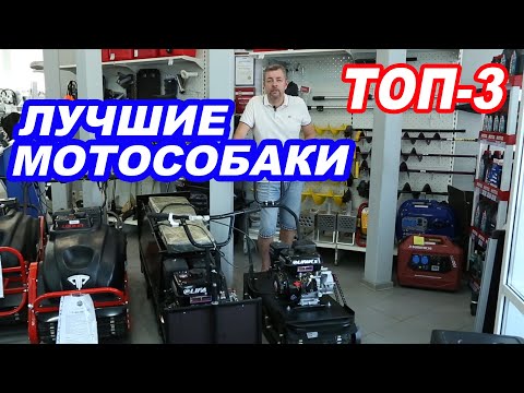 Видео: ЛУЧШИЕ МОТОСОБАКИ. ТОП-3. Что выбрать? Подробный обзор.