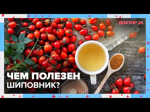 Видео: Чем ПОЛЕЗЕН ШИПОВНИК? | Доктор 24