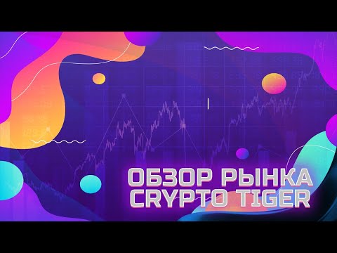 Видео: Обзор рынка - Медвежка наступает?