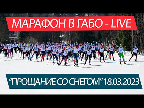 Видео: Марафон в ГАБО "Прощание со снегом" - LIVE 18.03.2023