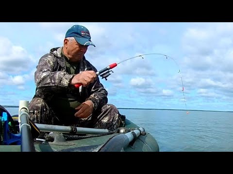 Видео: Весенняя плотва на Плещеевом озере