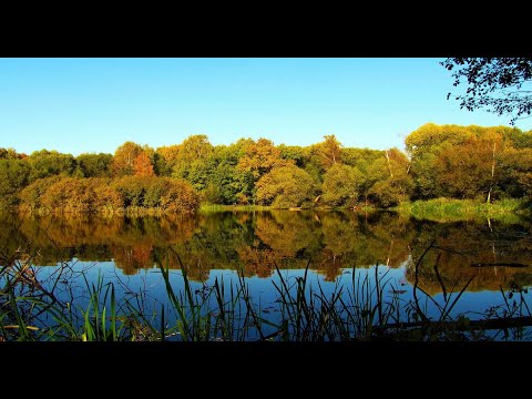 Видео: 7 hours Russian Post Punk Autumn- 7 часов Русского Пост панка Осенний Плейлист