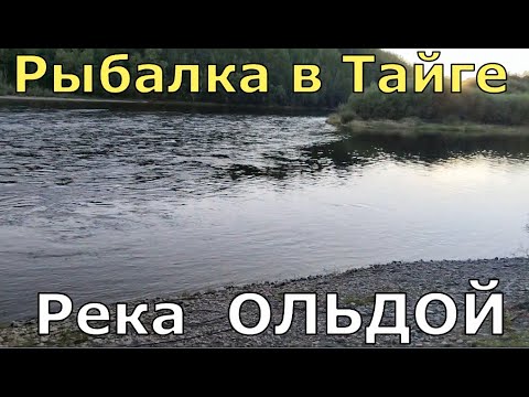 Видео: Рыбалка в тайге на река ОЛЬДОЙ в Амурской области.