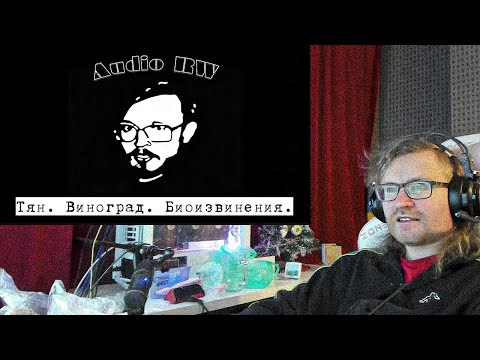 Видео: Хроники Нижнего Интернета - Слушание по делу Audio RW (часть 2)