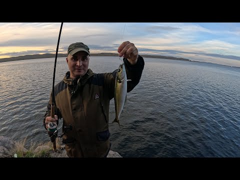 Видео: Морская рыбалка на новом месте / Sea fishing in a new place