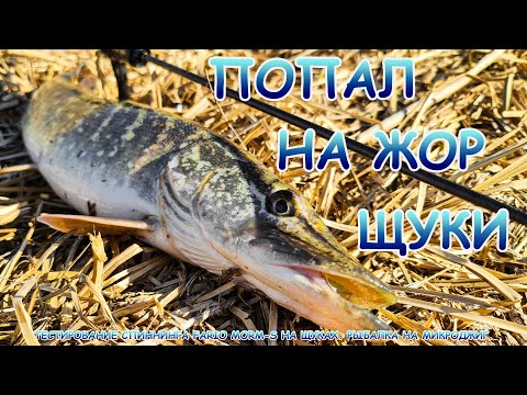 Видео: Проверил спиннинг на ЩУКАХ. Отличный спиннинг для МИКРОДЖИГА!