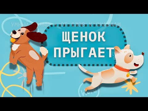 Видео: Про котёнка и щенка. Уровни 1-3. Развивающее видео для малышей. Первые слова и фразы. Развитие речи