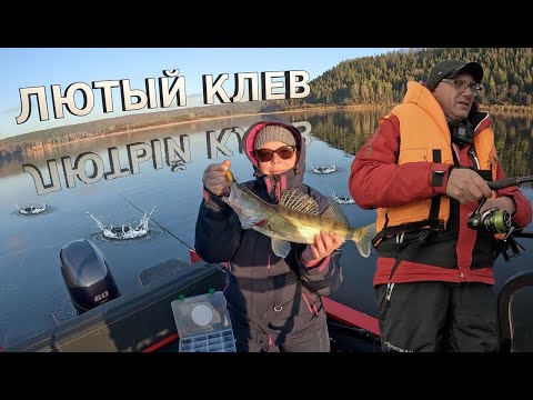 Видео: Мы так еще не рыбачили. Лютый клев.