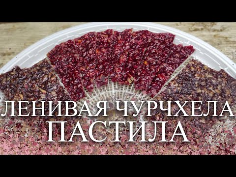 Видео: ПАСТИЛА "ЛЕНИВАЯ ЧУРЧХЕЛА"