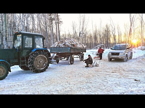 Видео: ЗАГОТОВКА ДРОВ В СИБИРСКОЙ ДЕРЕВНЕ.ВЕЗЁМ ДРОВИШКИ БАБУШКЕ.