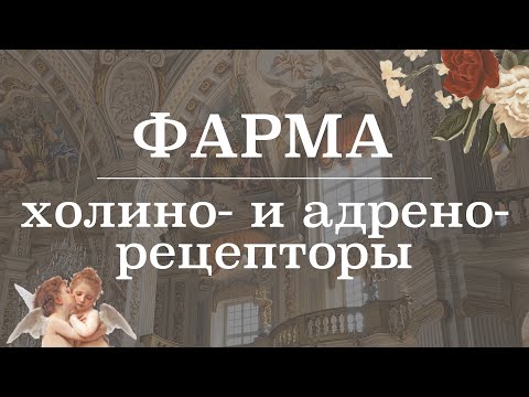 Видео: Холино- и адрено- рецепторы (расположение, эффекты) | Фармакология