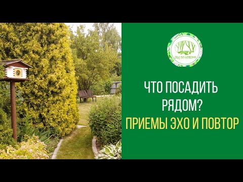 Видео: Что посадить рядом?  Приём составления композиций Повтор и Эхо