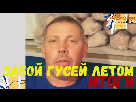 Видео: Забой гусей: итоги. "Мое Подворье"
