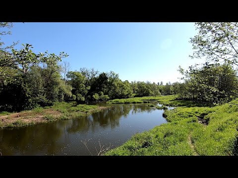 Видео: В поиске ГОЛАВЛЯ на малой реке. А выручает ЩУКА! Рыбалка в майский зной.