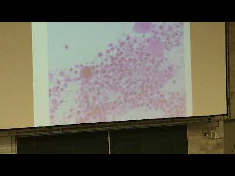 Видео: Гистология. Препараты к 5 коллоквиуму