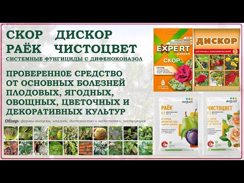 Видео: Скор, Раёк, Чистоцвет и Дискор - одно из лучших средств от болезней растений. Обзор 2025