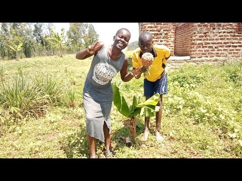 Видео: 🏠 Развитие домов мечты в Африке_Неспешная жизнь в сельской местности 🇰🇪