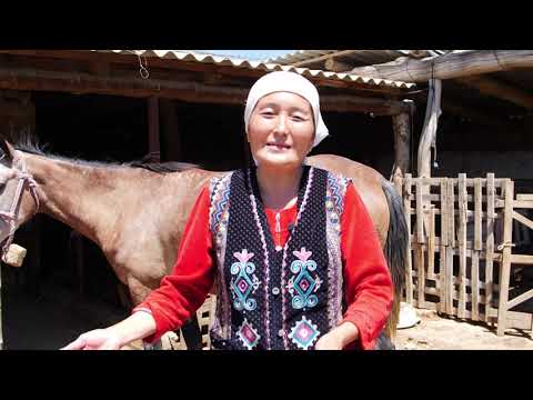 Видео: Бір ауылдың тарихы. Шорнақ ауылдық округі