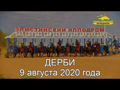 Видео: "Дерби" 2020. Элистинский ипподром.