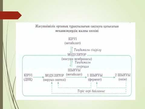 Видео: Басқару жүйесінің негізгі компоненттері, 11 сынып, биология