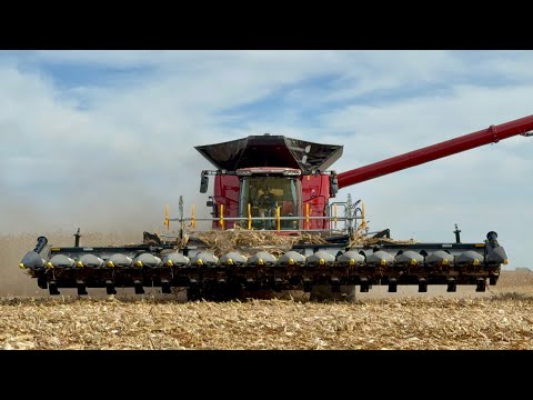 Видео: Демонстрация комбайна Case IH AF10 2025 года | В поле с дилером CaseIH 5-го поколения Михаэлем Шм...