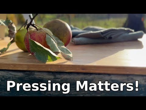 Видео: Мы думали, что выжимать яблоки будет легко! Мы ошибались!! (105)