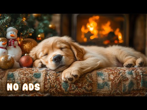 Видео: 12Ч Музыка для Сна Собак 🐶🎵 Спокойные Звуки Тревоги Разлуки Глубокого Отдыха 🐾 Без Рекламы