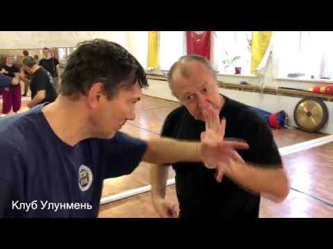 Видео: Вариант туйшоу (часть 1) Тайцзицюань и Илицюань