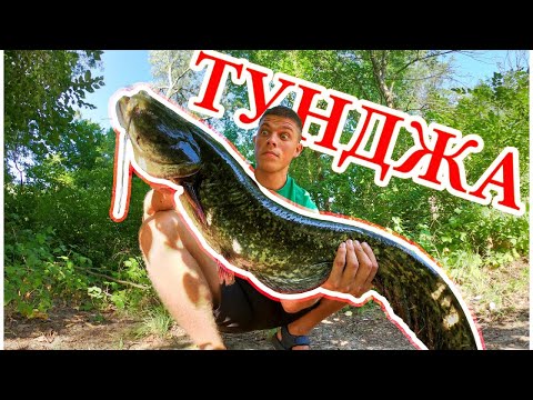 Видео: ТУНДЖА не разочарова! СОМ удари на ЛАЙТА!