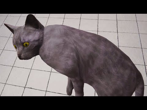 Видео: Приют для Кошек и Собак Пурумчата #6 Animal Shelter Хэллоуин. Баги в Обновлении с Кидом