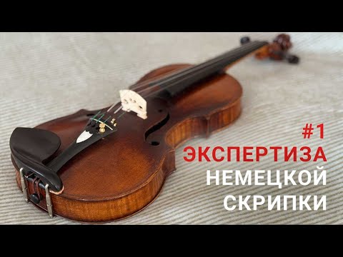 Видео: Экспертиза немецкой скрипки | German Violin Expertise #мастерская скрипичных дел  #German violin
