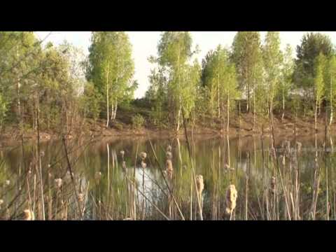 Видео: 4-й фильм. Миньяр и Сим. часть 2