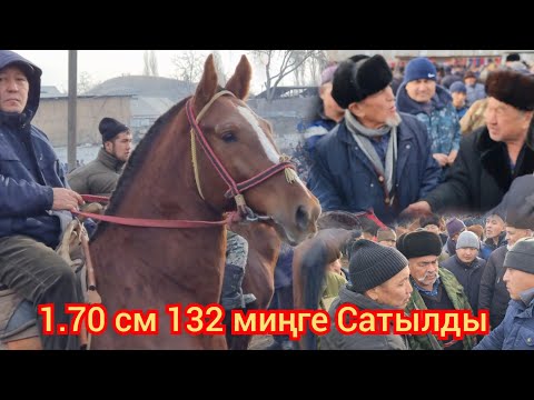 Видео: БАЗАРЫ КАЙНАГАН НООКАТ ЖЫЛКЫ БАЗАРЫ УКМУШ КЫЗЫДЫ ПАЙ ПАЙ ПАЙ ПАЙ ПАЙ ПАЙ