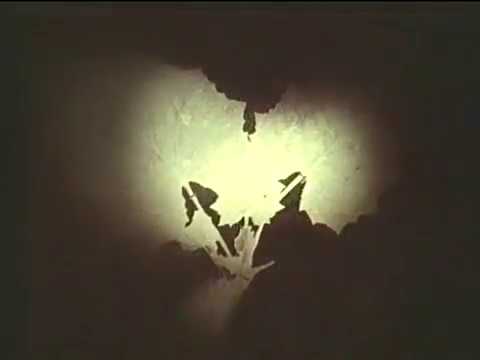 Видео: Сбор лекарственного растительного сырья © Collection of medicinal plants