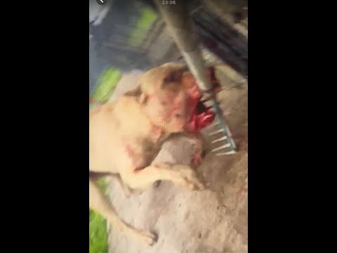 Видео: Что происходит??? Откровенно Обо Всём ..