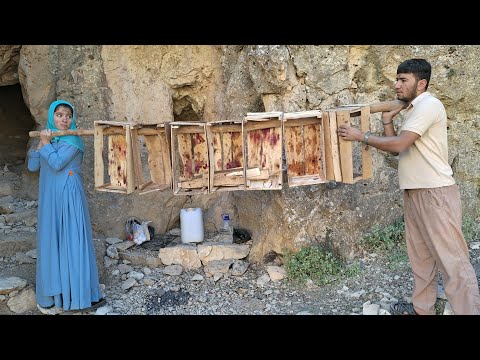 Видео: 🏕️ «Кампания любви: строительство дома на лоне природы от Рухоллы и Захры!