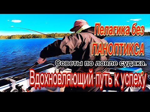 Видео: ПЕЛАГИЧЕСКИЙ СУДАК без ПАНОПТИКСА. ТЕХНИКА ЛОВЛИ и КАК ЕГО ПОЙМАТЬ. 22.09.2024.