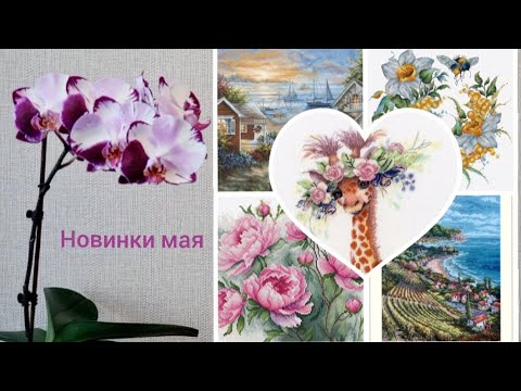 Видео: 13.НОВИНКИ наборов для ВЫШИВКИ крестиком, вышедшие в МАЕ 2023. Panna,Luca-S,Овен, Риолис, М.П.Студия