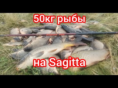 Видео: 50 кг РЫБЫ НА УДОЧКУ SAGITTA ОТ ВБОК КИВОК.